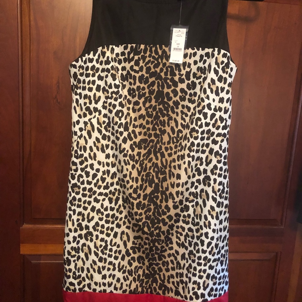 Brand new White House/Black Market Dress